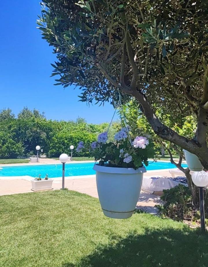 B&B Villa Antonella Piazza Armerina Bagian luar foto
