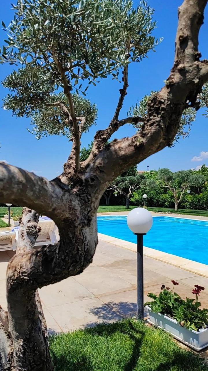 B&B Villa Antonella Piazza Armerina Bagian luar foto